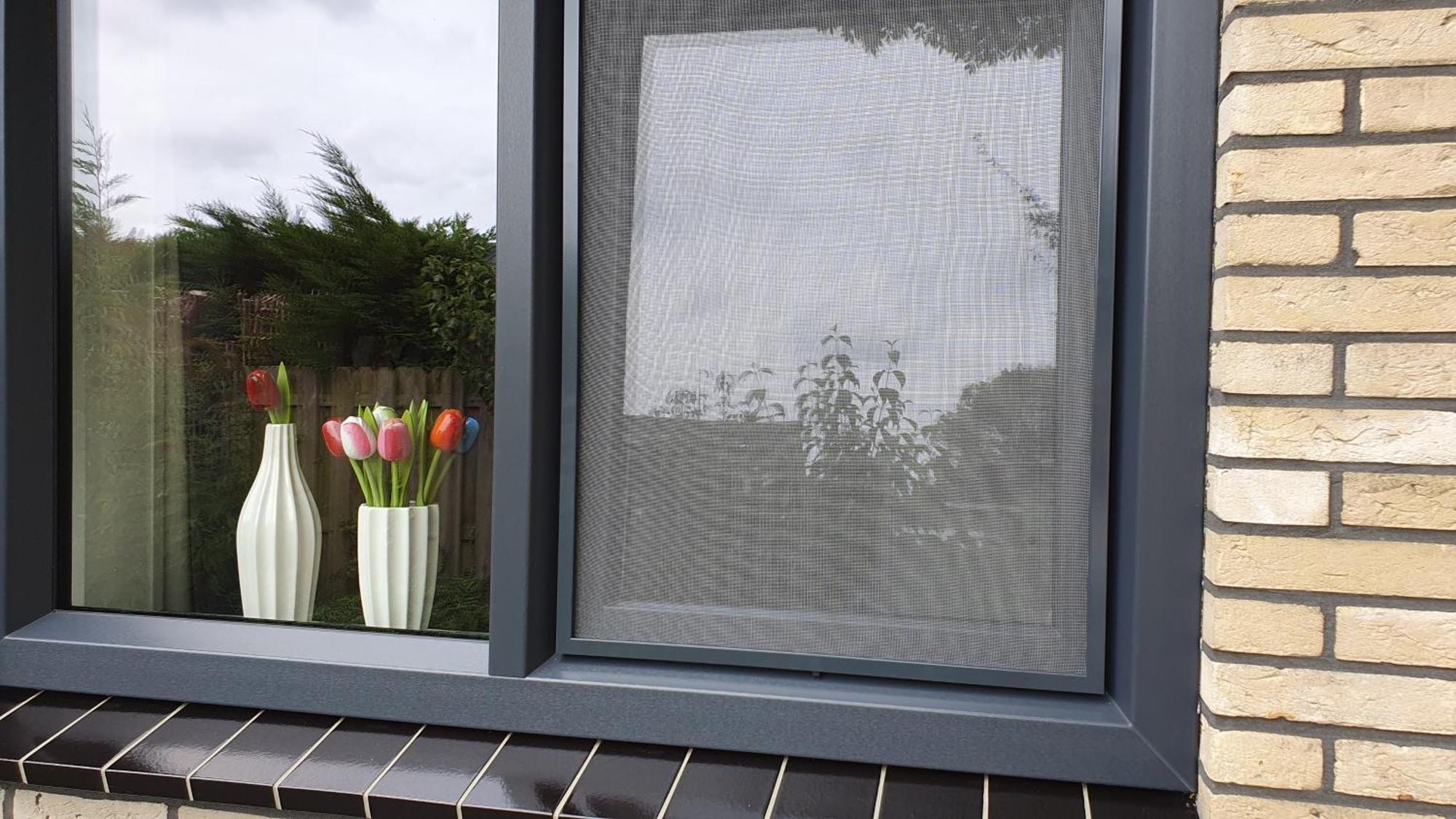 Luxe Zomerwoning Met Omheinde Tuin Voor Hond En Kinderen Dirkshorn エクステリア 写真
